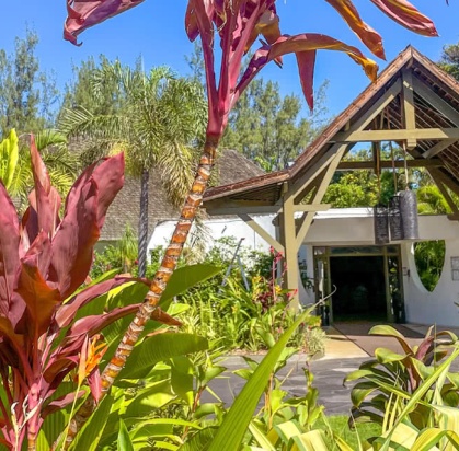 Hôtel Relais de l'Hermitage Saint-Gilles 3*, Séjour Réunion par Ôvoyages Hôtel Relais de l'Hermitage Saint-Gilles 3*, Séjour Réunion par Ôvoyages