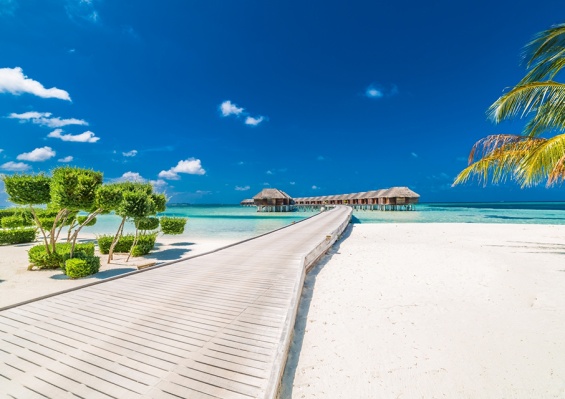 Hôtel LUX South Ari Atoll Maldives 5* Hôtel LUX South Ari Atoll Maldives 5*