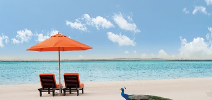 Hôtel JA Palm Tree Court 5*, Séjour Emirats Arabes Unis, Dubaï par Ôvoyages Hôtel JA Palm Tree Court 5*, Séjour Emirats Arabes Unis, Dubaï par Ôvoyages