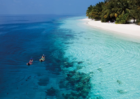 Hôtel Vilamendhoo Island Resort & Spa 4* Hôtel Vilamendhoo Island Resort & Spa 4*