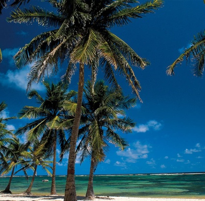 Autotour Guadeloupe, Circuit Antilles, Guadeloupe par Ôvoyages Autotour Guadeloupe, Circuit Antilles, Guadeloupe par Ôvoyages