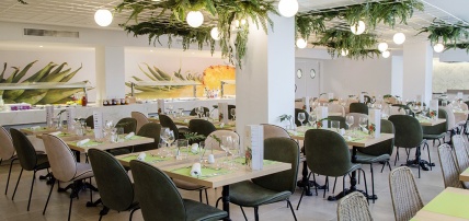 Hôtel BQ Paguera Boutique 4* Adult Only +16, Séjour Espagne & ses îles, Canaries, La Palma par Ôvoyages Hôtel BQ Paguera Boutique 4* Adult Only +16, Séjour Espagne & ses îles, Canaries, La Palma par Ôvoyages