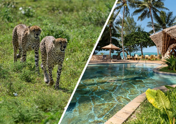 Combiné Palumbo Mnemba View 4*sup + Safari 2 nuits Combiné Palumbo Mnemba View 4*sup + Safari 2 nuits
