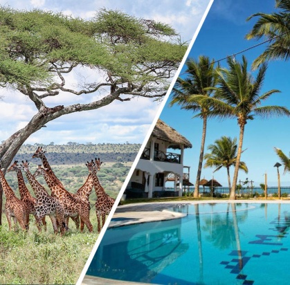 Ôcombiné - Ôclub Experience Nest Style Beach 4*& Safari 2 nuits Selous, Séjour Tanzanie, Zanzibar par Ôvoyages Ôcombiné - Ôclub Experience Nest Style Beach 4*& Safari 2 nuits Selous, Séjour Tanzanie, Zanzibar par Ôvoyages