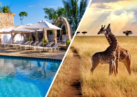 Combiné Palumbo Waves Resort 4* & Safari 2 nuits dans la réserve de Selous en avion Combiné Palumbo Waves Resort 4* & Safari 2 nuits dans la réserve de Selous en avion