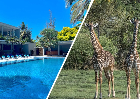 Combiné Matemwe Sands Beach Resort 5* + Safari 2 nuits dans la réserve de Selous en avion Combiné Matemwe Sands Beach Resort 5* + Safari 2 nuits dans la réserve de Selous en avion