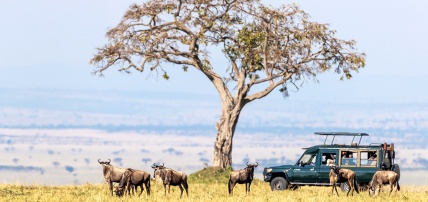 Circuit Les Trésors du Kenya en 8 nuits, Séjour Kenya par Ôvoyages Circuit Les Trésors du Kenya en 8 nuits, Séjour Kenya par Ôvoyages