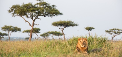 Circuit Les Trésors du Kenya en 8 nuits, Séjour Kenya par Ôvoyages Circuit Les Trésors du Kenya en 8 nuits, Séjour Kenya par Ôvoyages