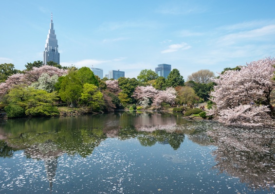 Ôcombiné - Tokyo & Kyoto, entre Traditions & Modernité Ôcombiné - Tokyo & Kyoto, entre Traditions & Modernité