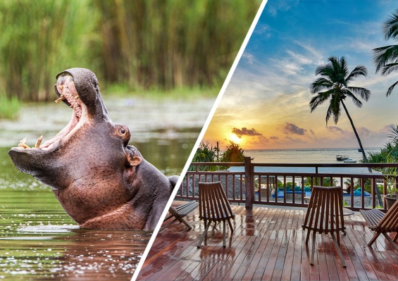 Ôcombiné Kena Beach Hotel 4* Sup & Safari 2 nuits dans le Selous en avion Ôcombiné Kena Beach Hotel 4* Sup & Safari 2 nuits dans le Selous en avion - photo 1