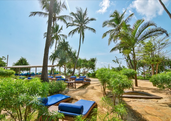 Ôcombiné Kena Beach Hotel 4* Sup & Safari 2 nuits dans le Selous en avion Ôcombiné Kena Beach Hotel 4* Sup & Safari 2 nuits dans le Selous en avion - photo 4