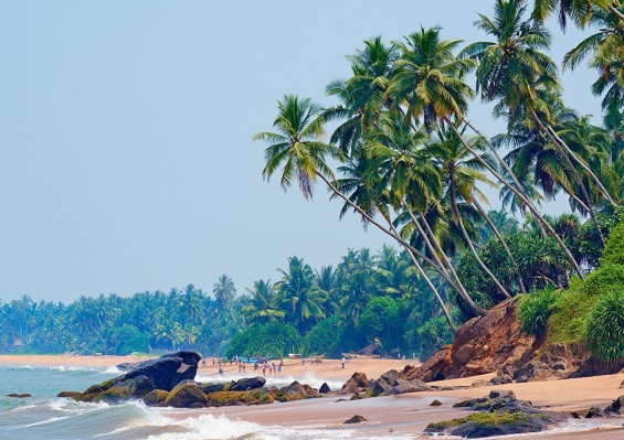 Circuit Privatif Balade Sri Lankaise 4* & Séjour bien-être Ayurvédique Circuit Privatif Balade Sri Lankaise 4* & Séjour bien-être Ayurvédique