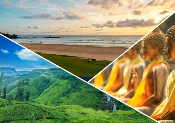 Circuit Ceylan Insolite en groupe : sport, jungle et plage & Ôclub Experience Pandanus 5* Circuit Ceylan Insolite en groupe : sport, jungle et plage & Ôclub Experience Pandanus 5*