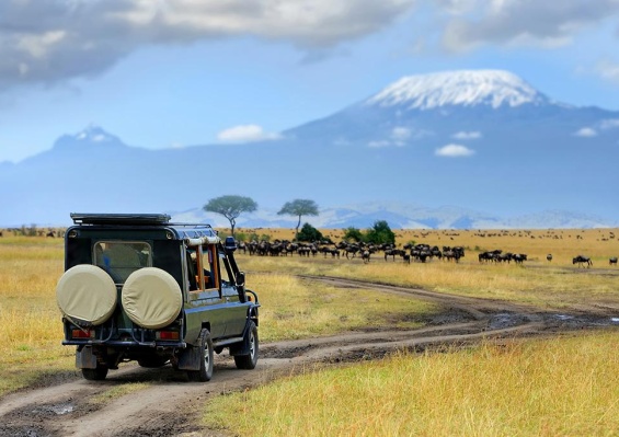 Circuit Safari Inoubliable au Kenya 4*/5* Circuit Safari Inoubliable au Kenya 4*/5*