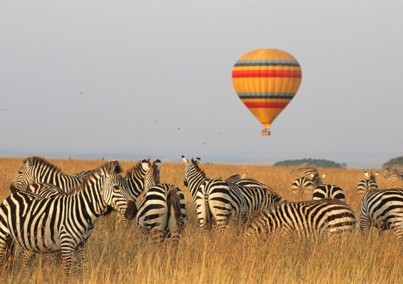 Combiné Safari inoubliable au Kenya : Masai Mara, Naivasha & Amboseli & Ôclub Experience Papillon Lagoon Reef 4* Combiné Safari inoubliable au Kenya : Masai Mara, Naivasha & Amboseli & Ôclub Experience Papillon Lagoon Reef 4*