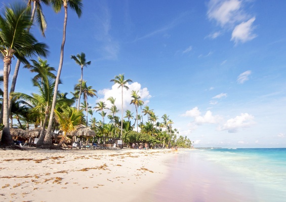 Hôtel Grand Palladium Palace Resort & Spa 5* Hôtel Grand Palladium Palace Resort & Spa 5*