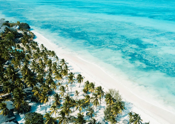 Jaz Aurora Beach 5* Jaz Aurora Beach 5*