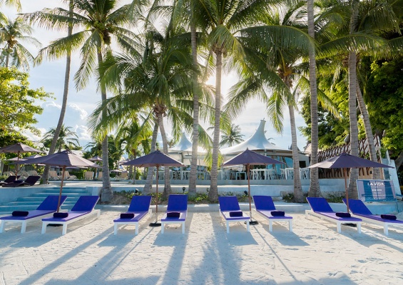 Hôtel La Vida Samui 4* Hôtel La Vida Samui 4*