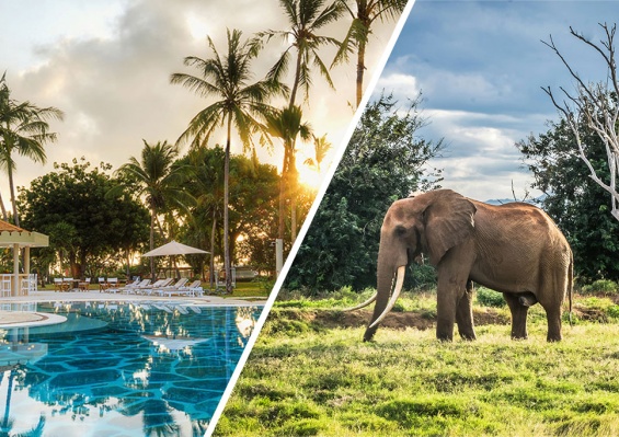 Combiné Ôclub Select Diamonds Malindi 5* & Safari 1 nuit dans le parc national de Tsavo Combiné Ôclub Select Diamonds Malindi 5* & Safari 1 nuit dans le parc national de Tsavo
